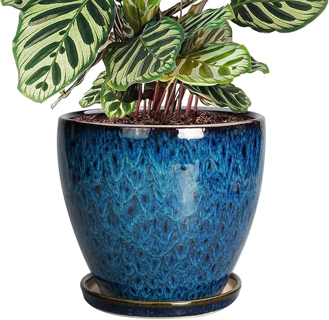 8 Inch Ceramic Planter Pot with Drainage Hole and Saucer, Ceraimc Plant Pot Round Flower Pot for Indoor Plants Outdoor Garden Planter, Blue EPFamily