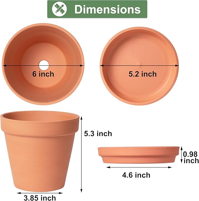 Orceler 6 inch Terracotta & Clay Pots for Plants with Saucer, Medium Terra Cotta Plant Pots with Drainage Hole, Flowerpot with Tray, Terracotta Pot for Indoor Outdoor Plant - Pack of 4 Planters Orceler
