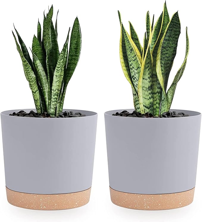 QCQHDU 8 inch Plant Pot, 2 Pack Planters for Indoor Plants with Drainage Holes & Saucer, Outdoor Flower Pots Home Garden Modern Decor QCQHDU