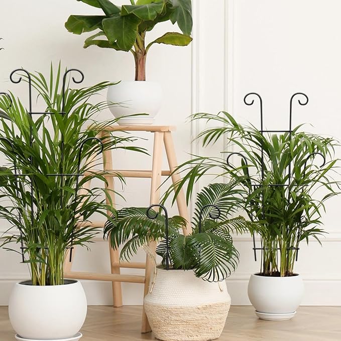 Plant Trellis for Potted Plants 2p, Larger 23in Garden Trellis for Climbing Plants Indoor Outdoor, Rustproof House Plant Support Stakes for Pothos Hoya Ivy Flower Xeeol
