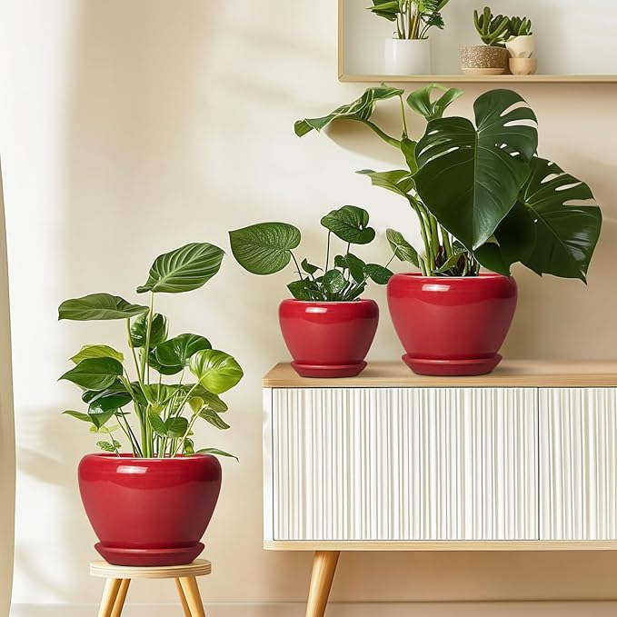 6 Inch Plant Pot - Glaze Modern Ceramic Planter for Indoor Plants, Succulent Pot with Drainage Hole and Saucer, Office Garden Home Decor, Housewarming Gift, Red Ceramicfor