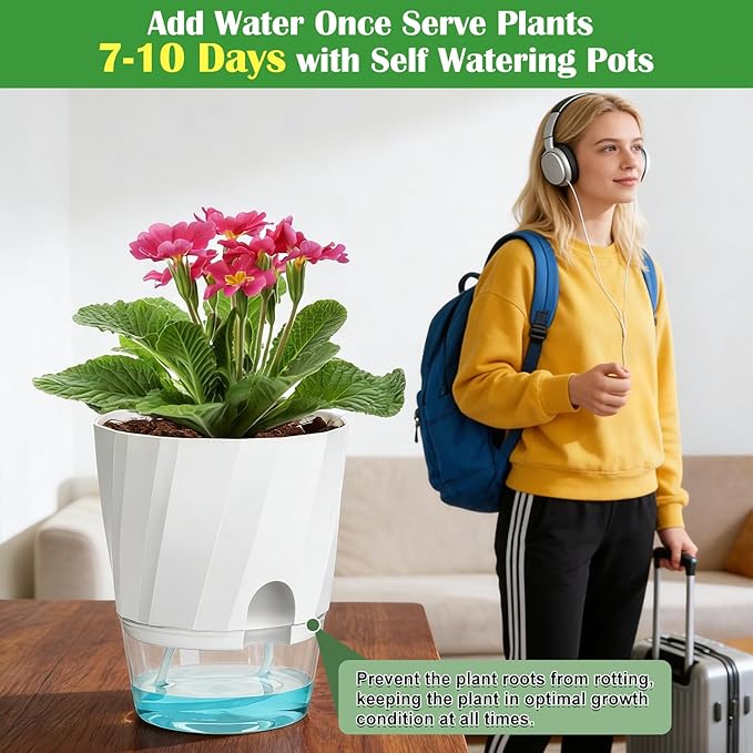 KIMCHOMERSE Self Watering Plant Pots, 6 Inch Plant Pots White, 3 Pack Flowers Pot Indoor Planter Pots with Tray for Spider Plant, Orchid, African Violet KIMCHOMERSE