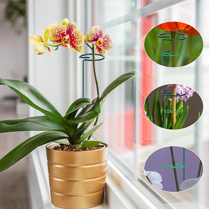 6PCS Single Stem Plant Support Stakes, 16 Inch Monstera Plant Support with 50 PCS Twist Ties, Garden Open Ring Plants Stake, Versatile Plants Stakes for Amaryllis, Rose, Tomatoes, Lily, Peony, Orchid Numyew