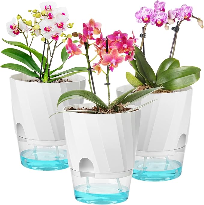 KIMCHOMERSE Self Watering Plant Pots, 6 Inch Plant Pots White, 3 Pack Flowers Pot Indoor Planter Pots with Tray for Spider Plant, Orchid, African Violet KIMCHOMERSE