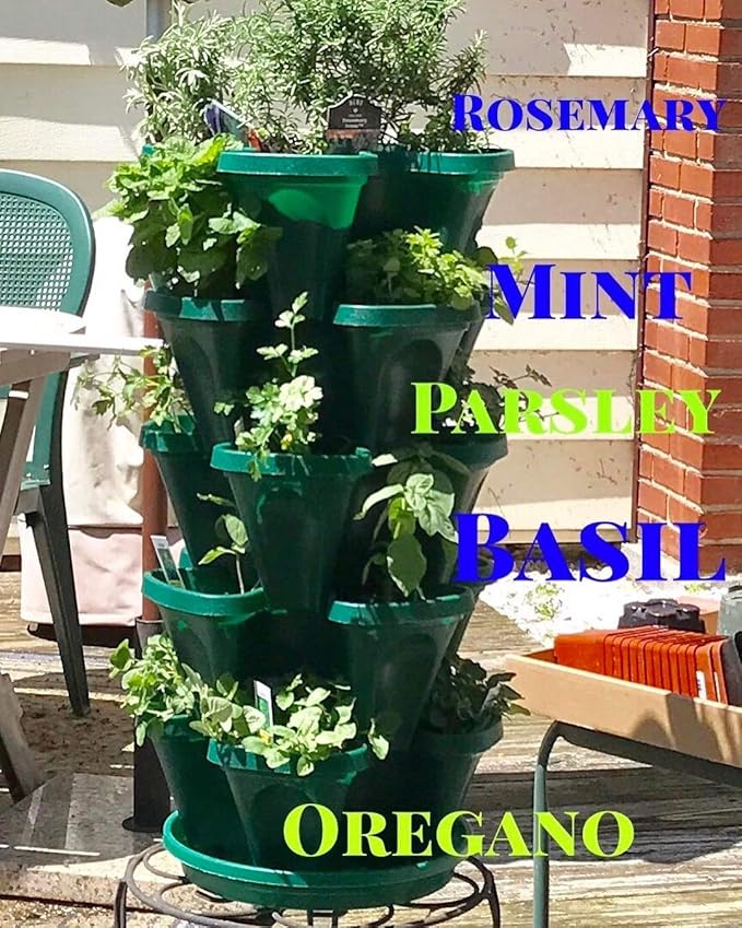 Mr. Stacky 1305-HG 5-Tier Stackable Strawberry, Herb, Flower, & Vegetable Planter - Vertical Gardening Indoor / Outdoor Stacking Garden Pots Hunter Green, 22.5 Quarts Mr.+Stacky