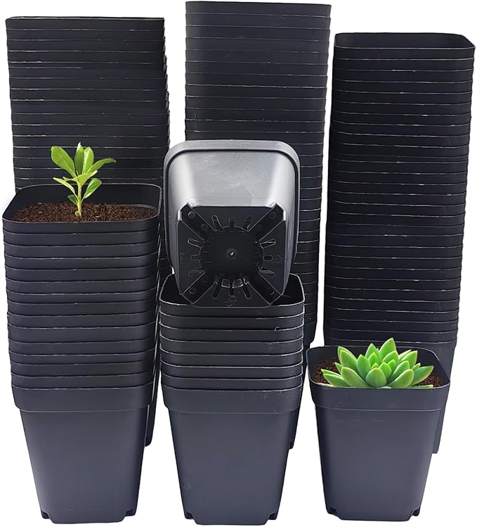 Square Nursery Pots 3" 120Pcs Deep Succulent Plastic Pots Small Flower Planter Seeds Starter Germination Pots with Drainage (Black,2.7Inches,120Pcs) RooTrimmer