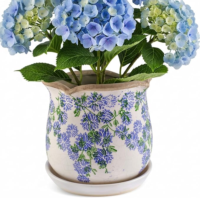 Ceramic-Planters-for-Indoor-Plants with Saucer, 6 inch Vintage Ice Crackle Glaze Plant Pots with Drainage Holes, Decorative Flower Pots for Outdoor Garden Home Decor, Tuscan Pot for Plant Xoogifae