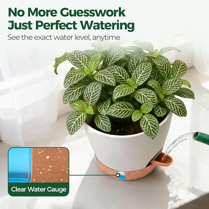 T4U 4 Pack 6 Inch Self Watering Pots - Water Level Indicator & Deep Reservoir, Mess-Free Planter for Busy People, Beginners & Gardeners, Fit Herbs/Pothos/Succulents Plants, Indoor Outdoor Use (White) T4U