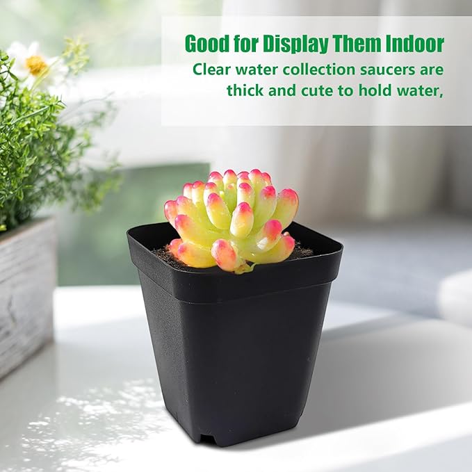 Square Nursery Pots 3" 120Pcs Deep Succulent Plastic Pots Small Flower Planter Seeds Starter Germination Pots with Drainage (Black,2.7Inches,120Pcs) RooTrimmer