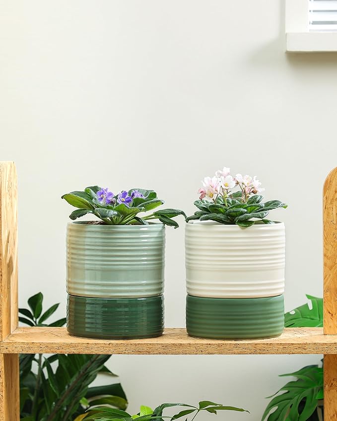 Self Watering Pots for Indoor Plants, 6 Inch Ceramic Self Watering Plant Pot, Planter Pot with Wick Rope and Drainage Hole for African Violet Succulent Herbs (White Matte) FayoulasGarden