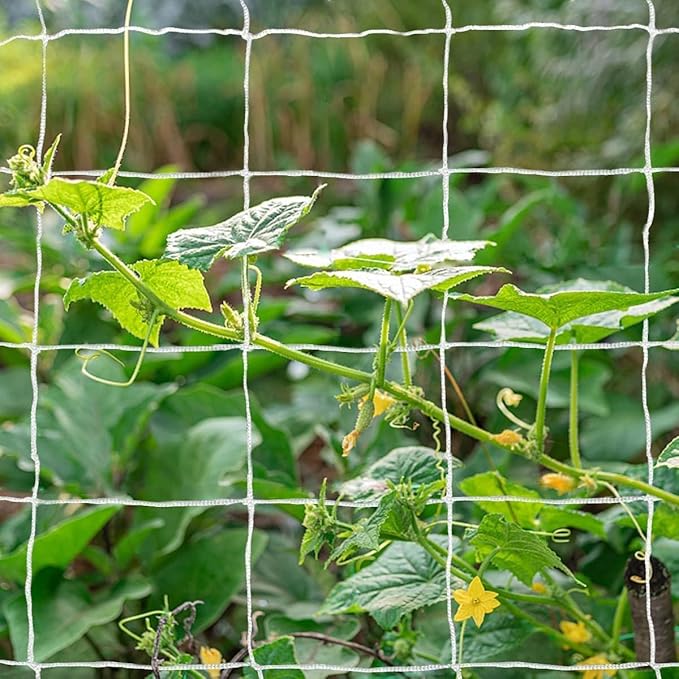 Tcamp Trellis Netting for Climbing Plants Outdoor Indoor (6" Square Mesh Ployester, 5ft x 15ft) (2 Pack) Tcamp