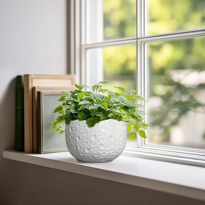 Ceramic Pots for Plants - 6 Inch Plant Pot for Indoor Outdoor, Decorative Orchid Pots with Drainage Hole, Unique Round Modern Planters, Home Decor, Gifts for Plant Lovers, White Thirtypot