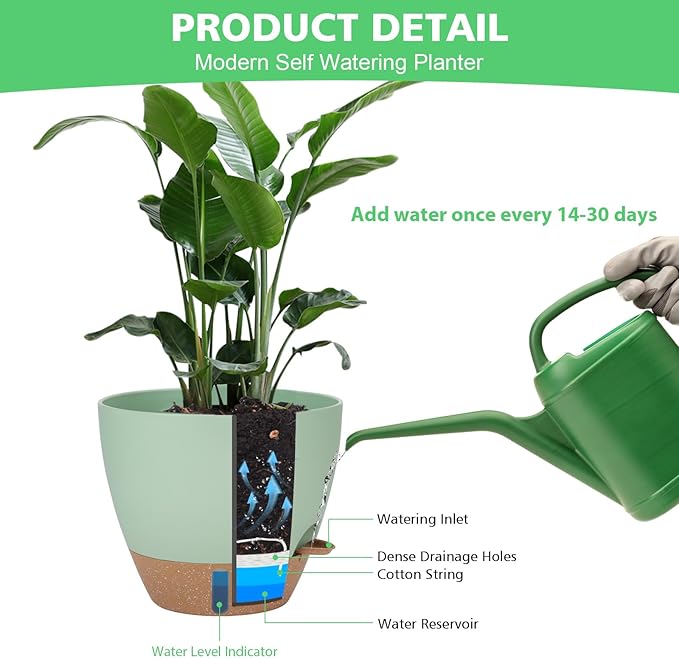 Self Watering Planter Set with Visual Water Level, 6Pack Small Plastic Pot with Drainage Holes and Reservoir Saucers, Modern 8+7+6.5+6+5.5+5 Inch Bottom Watering Flower Pots for Indoor Plant - Green Ezmixcoop