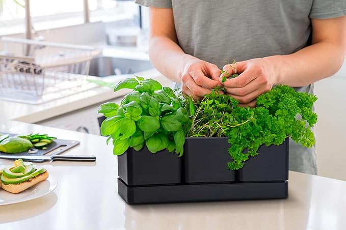 D'vine Dev Herb Garden Planter Set, Plastic Plant Pots with Drainage and Saucer, Indoor Succulent Cactus Vegetable Pot for Windowsill, Garden Balcony, Black, Set of 1, 76-V-B-1 DvineDevPlanterPotsandStand