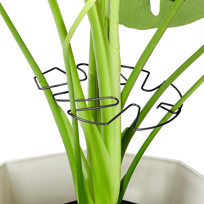 6PCS Iron Monstera Plant Support, Uniquely Designed Indoor Plant Accessories, Stable Plant Support Stakes for Indoor Plant, Turtle Shell Bamboo Clamp Set for Thriving Growth Rootora