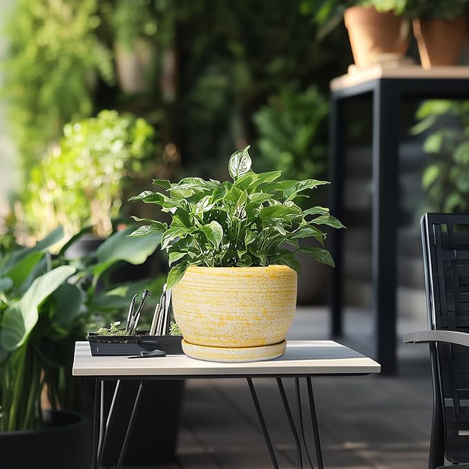 SQOWL Ceramic Flower Pots - 8 inch Plant Pot Indoor with Drainage Hole and Saucer, Modern Ceramic Planter Outdoor, Round Decorative Planter, Living Room Home Decor, Gifts for Plant Lovers, Yellow SQOWL
