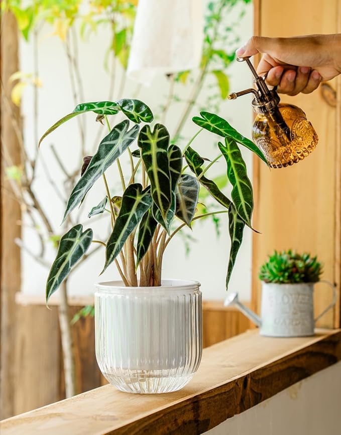 Melphoe Self Watering Pots for Indoor Plants Planter, 8.3/5.3 Inch 2 Pack Planters Self Watering Plant Pots for Flower, Houseplants, Succulent, African Violets and Cactus with Drainage Melphoe