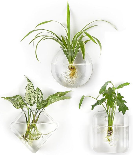 Mkono Wall Planter Propagation Stations Hanging Glass Terrariums Vase Container for Propagating Hydroponic Plants Flowers Home Office Living Room Bathroom Garden Decor, 3 Pack Mkono