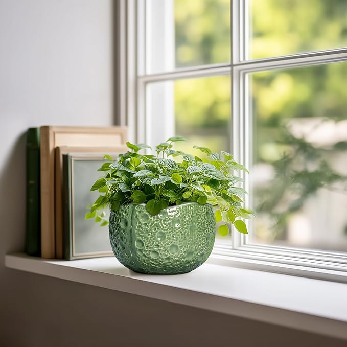 6 Inch Plant Pot - Orchid Pot with Drainage Hole, Ceramic Planter for Indoor Outdoor, Decorative Plant Pots, Modern Round Unique Flower Pots, Living Room Decor, Gifts for Women Men, Green Thirtypot