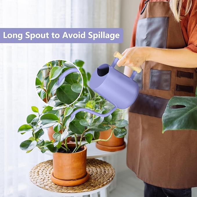 Watering Can Indoor Plants, 35oz Small Stainless Steel Metal Watering Can Modern Decorative Watering Pot with Long Spout for Indoor House Plant Bonsai Garden Flowers (Purple) GUKJOB