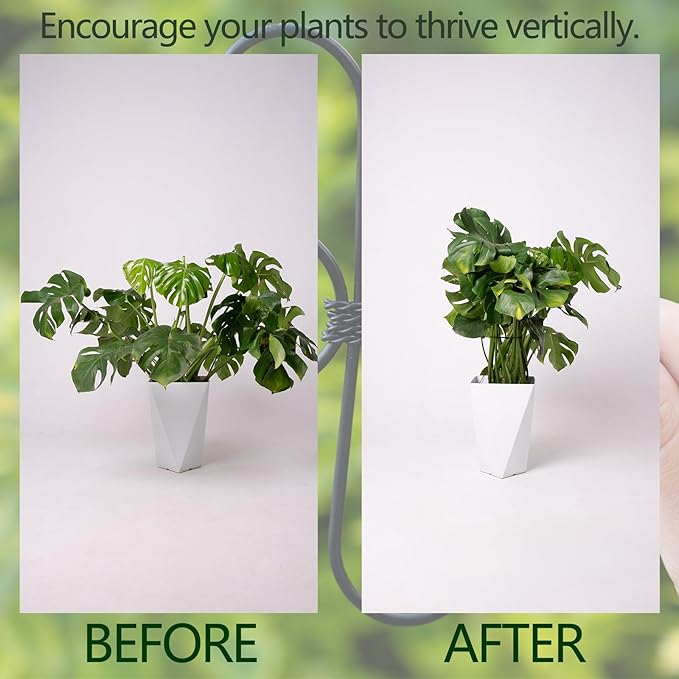 Black Monstera Plant Support 5.5IN 5PCS Premium Stem Support System for Indoor Plants, Durable Stabilizer for Monstera and Climbing Plants, Easy Installation Leaf Holder, Fishbone Cactus Stake Yohsnor