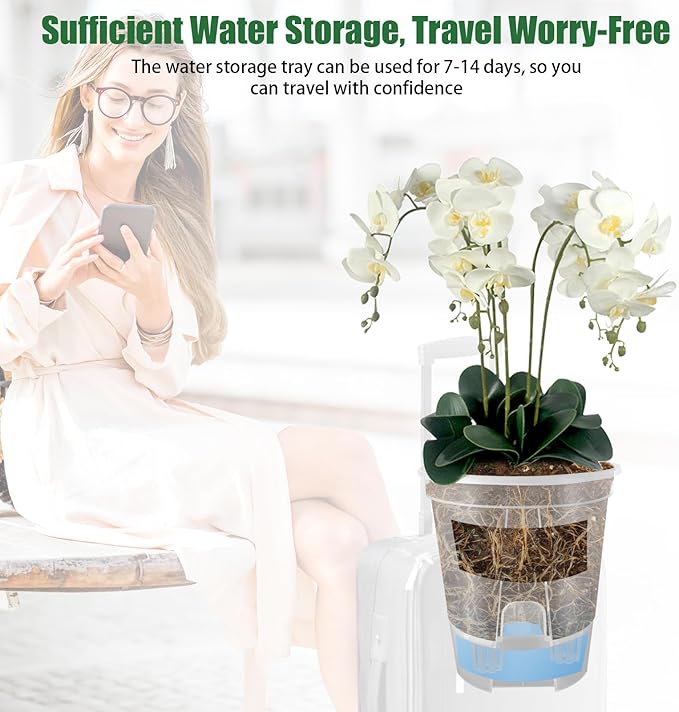 Cdd's Path 5-Pack 6 Inch Self Watering Naked Root Planter Pots with Drainage Holes & Reservoir, Plastic Planters with Air Pipes for Indoor Outdoor Plants，Clear Rootora