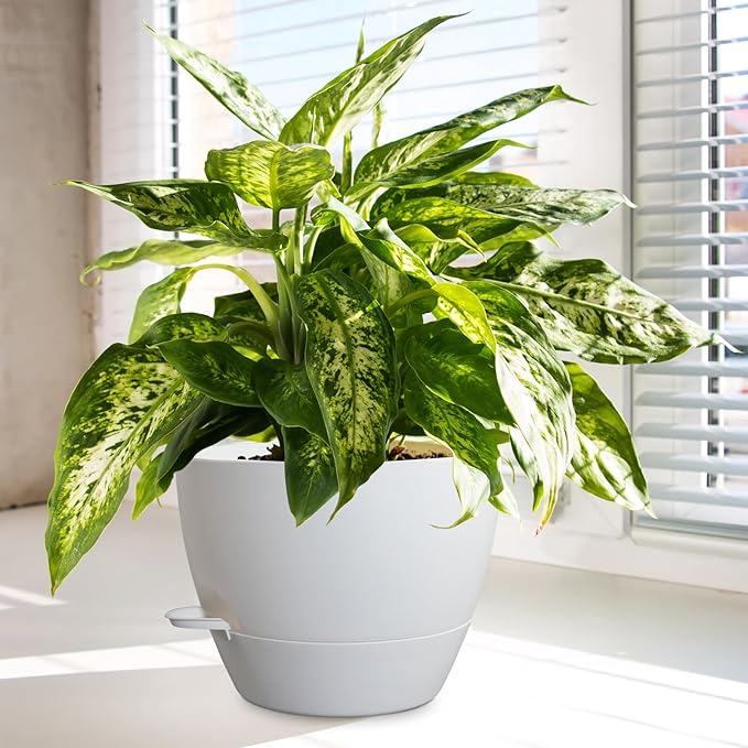 10/9/8 inch Medium Self Watering Pots, Plant Pots with Mesh Drainage Holes for Indoor Outdoor Garden Plants, Flower Pots with Removable Reservoir, Set of 3 Plastic Planters, White WSMKSZ
