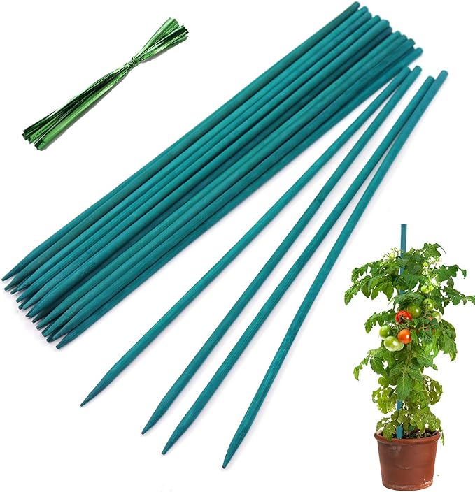 Garden Wood Plant Stakes Green Bamboo Sticks,HAINANSTRY Sturdy Floral Plant Support Stakes Wooden,Wooden Sign Posting Garden Sticks(25 Pack 12 Inches) HAINANSTRY