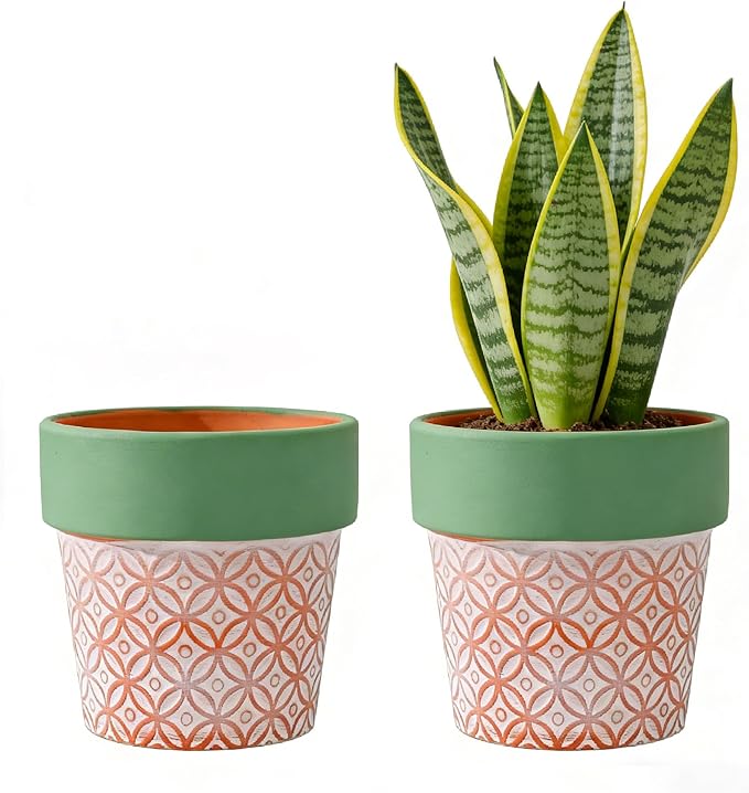 Terracotta Plant Pots Set of 2-4.7 Inch Vintage Pattern Clay Flowerpots with Green Rim & Drainage Holes, Decorative Terra Cotta Pots for Indoor Outdoor Garden Home Decor Rootora