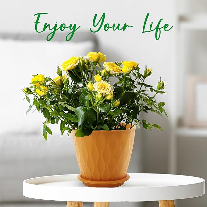 6 inch Plant Pots, 5 Pack Flower Pots Outdoor Indoor, Planters with Drainage Holes and Tray Saucers（Multicolor） AFamilyofGardenLovers
