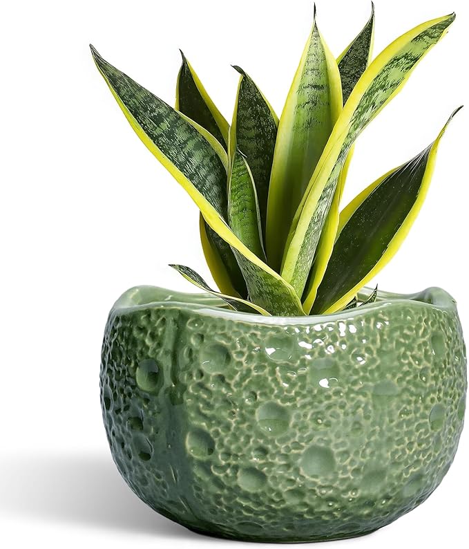 8 Inch Plant Pot - Ceramic Pots for Plants with Drainage Hole, Round Decorative Plant Pots for Indoor Outdoor, Modern Unique Flower Pot, Office Decor, Garden Gifts, Green Thirtypot