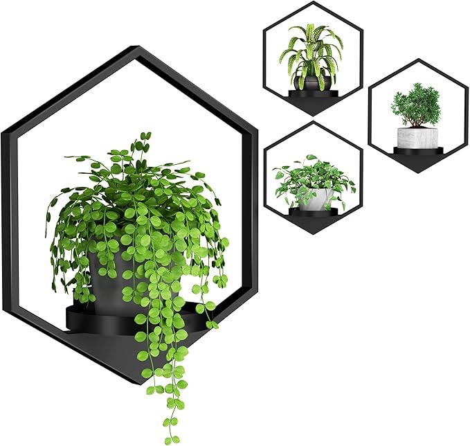 Wall Planters for Indoor Plants, Plant Frames Wall Decor Living Room Plant Stand Hanging Wall Plants Holder to Hold Large Pots Wall Plant Hanger Window Plant Shelves for Outdoor Entryway DEMEGA