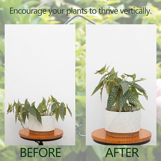 Monstera Plant Stem Support - 4.13 x 2.95 Inches 5 Pack Durable Leaf Holder for Climbing Plants, Ideal for Monstera & Vining Plants, Elegant Design for Plant Lovers Yohsnor