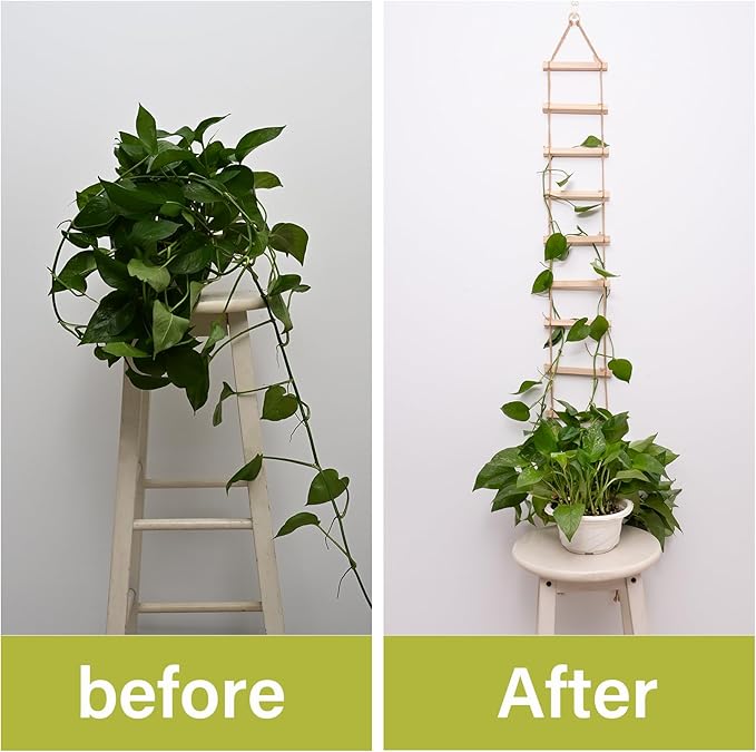 2PCS Chain Trellis for Climbing Plants - Natural Wood Indoor Plant Support, Durable 6.5 Inch by 4 Feet Design, Perfect for Pothos, Ivy, and Vines with Easy Installation Hook Yohsnor