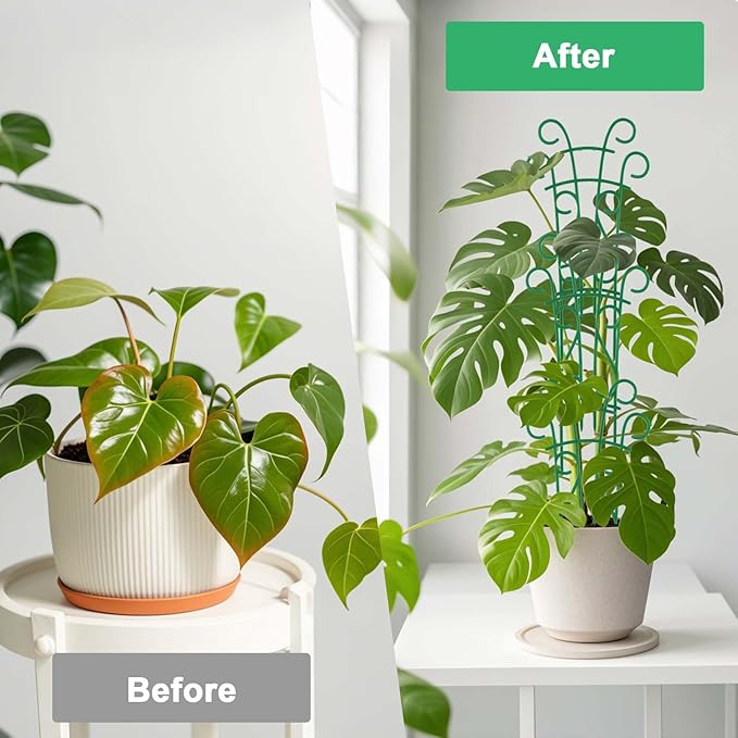 Indoor Plant Trellis for Climbing Plants, 8 Pack Garden Trellis for Potted Plants Stackable Plant Trellis Plant Stakes for Indoor Plants Accessories Flower Plant Support Qaobo