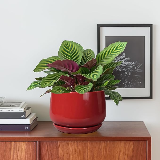 G EPGardening Ceramic Pot for Plants - 6 Inch Plant Pot with Drainage and Ceramic Tray, Modern Living Room Decor, Planter for Housewarming Gifts New Home, Red GEPGardening