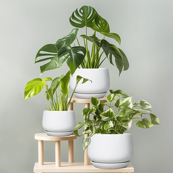 G EPGardening Ceramic Pots for Plants - 6 Inch Planter for Indoor Plants, Flower Pots with Drainage and Ceramic Tray, Modern Office Decor, Gifts for Plant Lovers, White GEPGardening