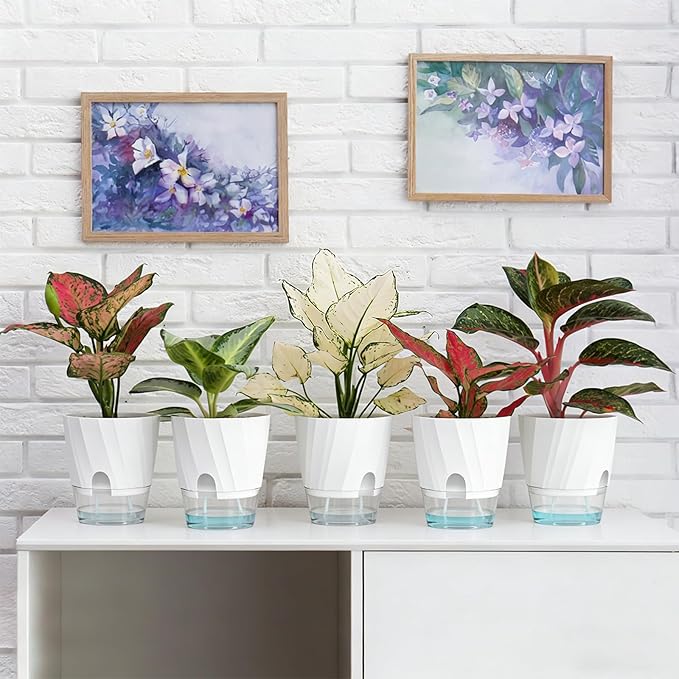 KIMCHOMERSE Self Watering Plant Pots, 6 Inch Plant Pots White, 3 Pack Flowers Pot Indoor Planter Pots with Tray for Spider Plant, Orchid, African Violet KIMCHOMERSE