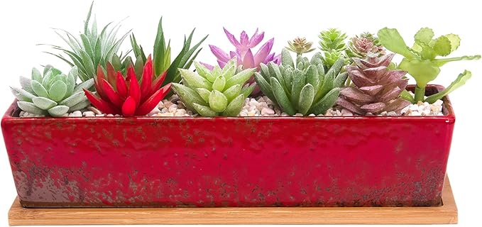 Succulent Pots - Large Succulent Planter Pots with Drainage, 12 Inch Long Rectangle Bonsai Pot with Bamboo Tray Shallow Ceramic Cactus Flower Planter Window Box for Home Garden Decor (Red) ARTKETTY
