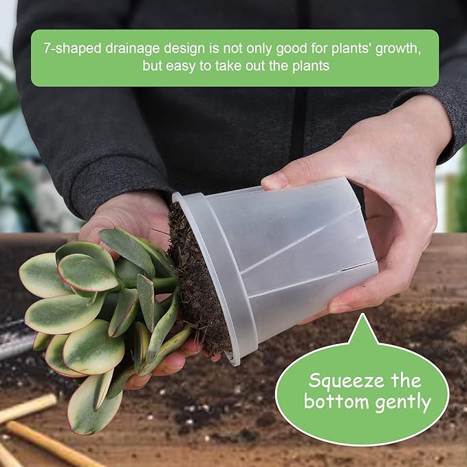 GREENPARA Transparent Plastic Planter 4/5 /6 inch Plant Nursery Pots with Drainage Hole Indoor Modern Decorative Containers for Plants, Herb, Flowers, and Cactus with 10pcs Plant Labels, 12pcs GREENPARA