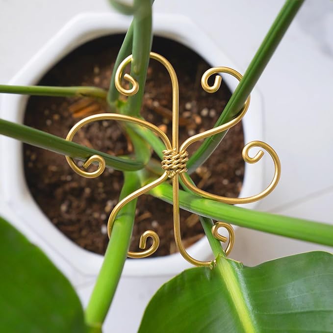 5PCS Monstera Plant Support System 4.1IN - Durable Hook Stem Supports for Healthy Growth, Stabilizer for Leaves and Turtle Shells, Easy-to-Use Indoor Plant Care, Ideal Present for Plant Lovers Yohsnor