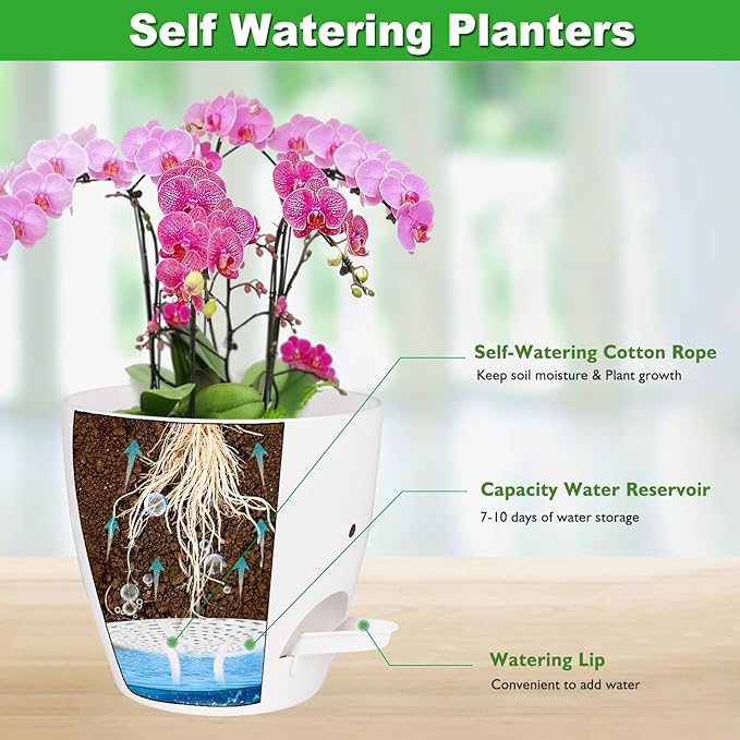 6 Inch Orchid Pots with Holes, 2 Pack Self Watering Planters for Orchids Plastic Orchid Pot Plant Flower Pots for Orchids Indoor Outdoor (White) Vanslogreen