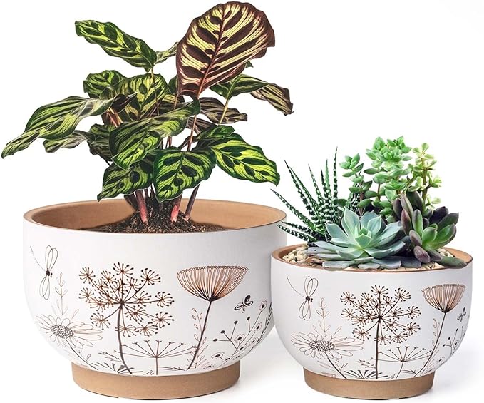 YBX 8 Inch + 6 Inch Ceramic Plant Pots, Succulent Flower Pots with Drainage Holes, Terracotta Planters for Indoor Plants, White&Terracotta (Garden) YBXYIBOXUAN