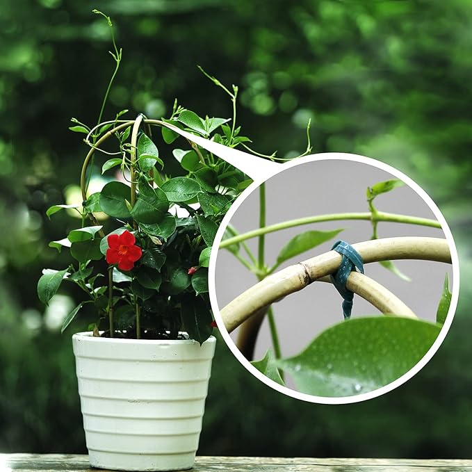 Plant Trellis Indoor, 3 Pack Bamboo Trellises, 16in Fan-Shaped Trellis for Potted Plants Climbing Plants Hoya Vine Ivy Cambaverd