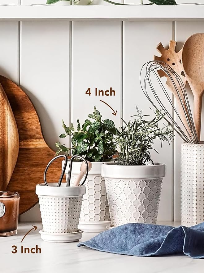 LE TAUCI Ceramic Succulent Pots, 4 Inch Small Plant Pot for Indoor Plant Cactus, Embossed Flower Pots with Drainage Hole & Saucer - Set of 4, Arctic White LETAUCI