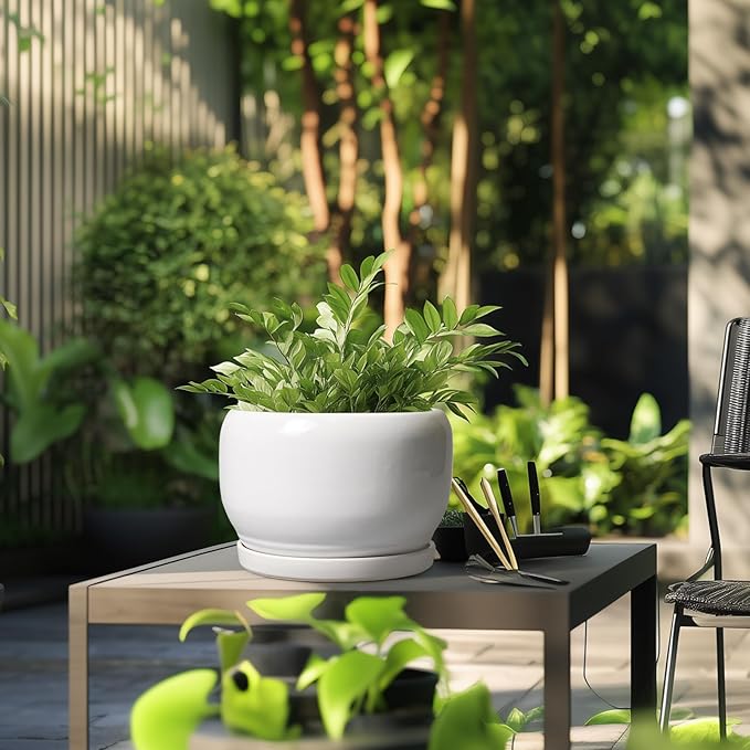 SQOWL Ceramic Pot for Plants - 10 Inch Planter with Drainage Hole and Saucer, Round Ceramic Flower Pot for Indoor Outdoor, Modern Decorative Large Planter, Patio Decor, Gifts for Plant Lovers, White SQOWL