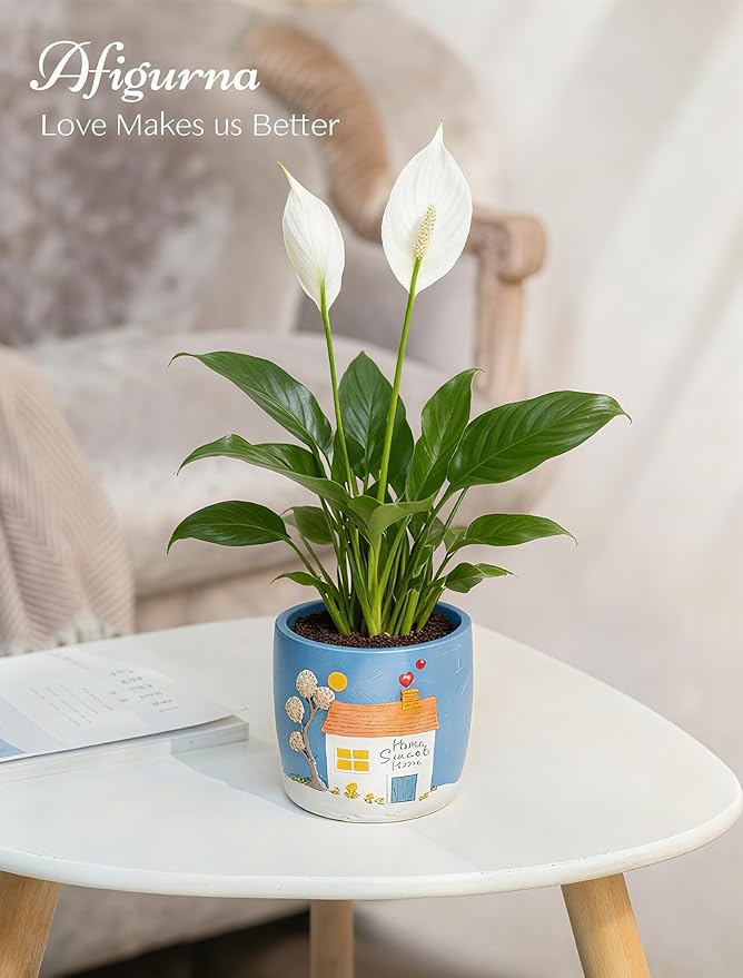 New Home Gift Ideas: New Home Apartment Plant Gift for Plant Lover - 5.3in Hand-Painted 3D Art Planter - Gardening House Warming Present for Christmas Rootora