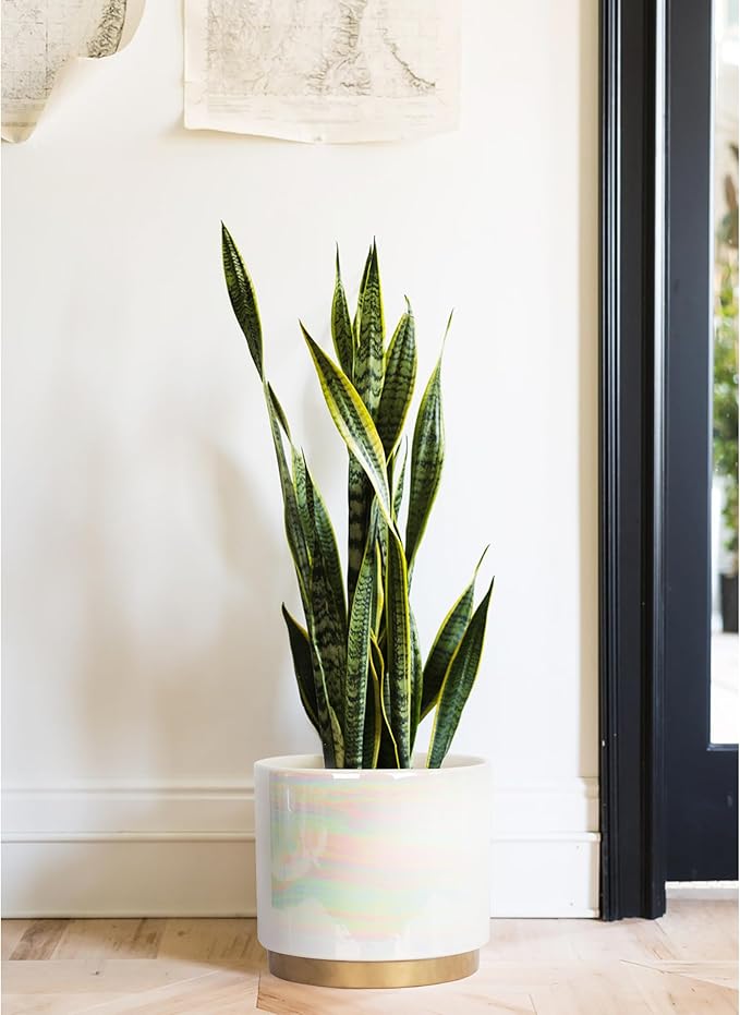 Gepege White Indoor Plant Pots for Plants, Large Ceramic Planter with Drainage Hole, 9.6-inch Succulent Orchid Flower Pot - Rainbow Pearl Glaze Gepege