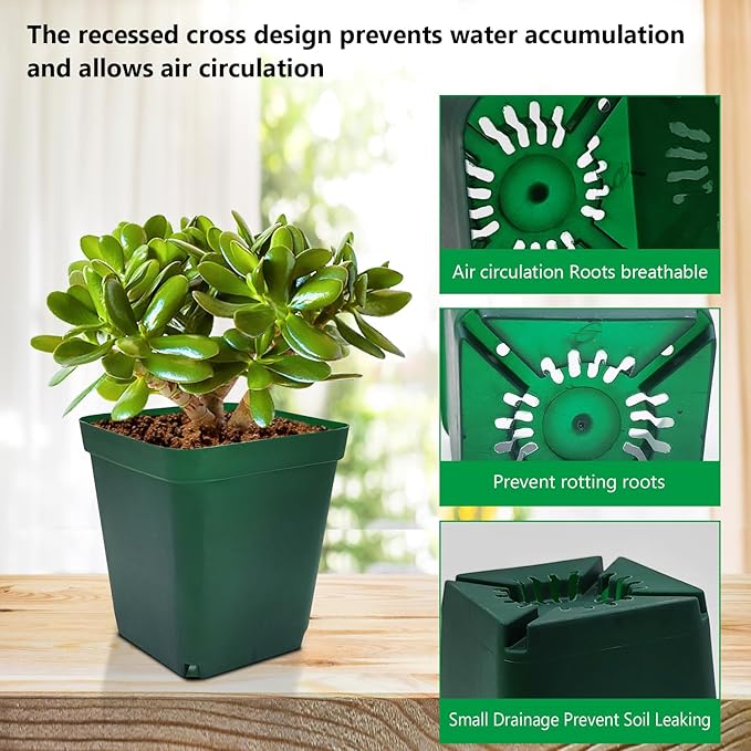 Square Nursery Succulent Pots 4 Inches 60 Pcs Deep Flower Plant Nursery Seedling Grow Pots Plastic with Drainage (Green, 4Inches, 60Pcs) RooTrimmer
