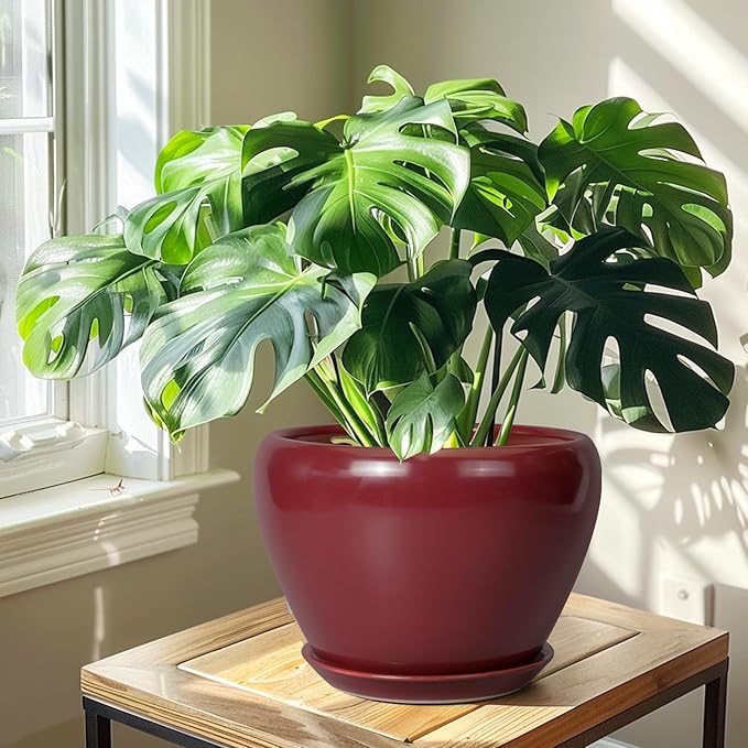 10 Inch Plant Pot - Ceramic Planter Pot with Drainage Hole and Saucer Large Planter for Indoor Plants Round Outdoor Flower Pot Mid-Century Decor Red Ceramicfor